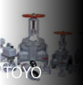 	TOYO