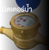 Water Meter