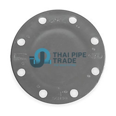 PVC-Flange