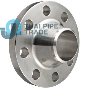 SS304-Flange