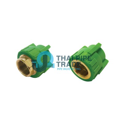 Female Thread Connector (Brass)