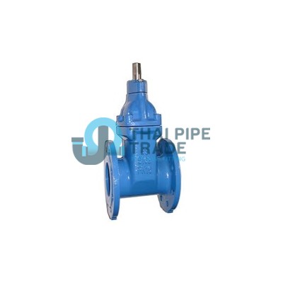 Cast-Iron-Valve