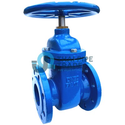 Cast-Iron-Valve