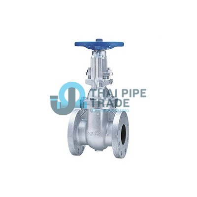 CAST IRON VALVE