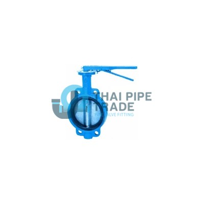 Butterfly Valve