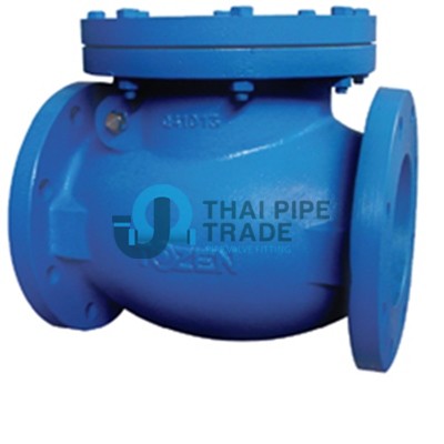 Check Valve